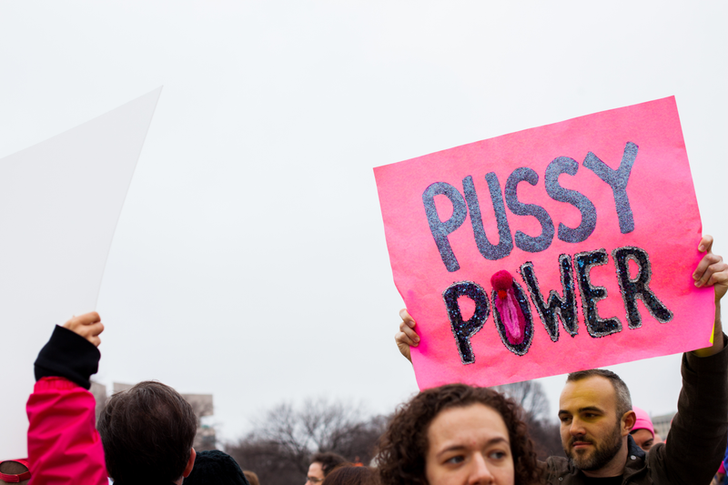 Illustration for article titled WOMEN'S MARCH ON WASHINGTON : THE SIGNS